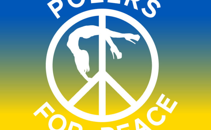 polers for peace weekend of pole dance workshops in bray